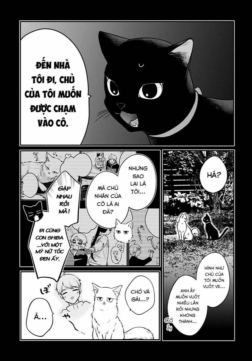 Mi-Chan Wa Kawaretai Chap 6 - Next Chap 7