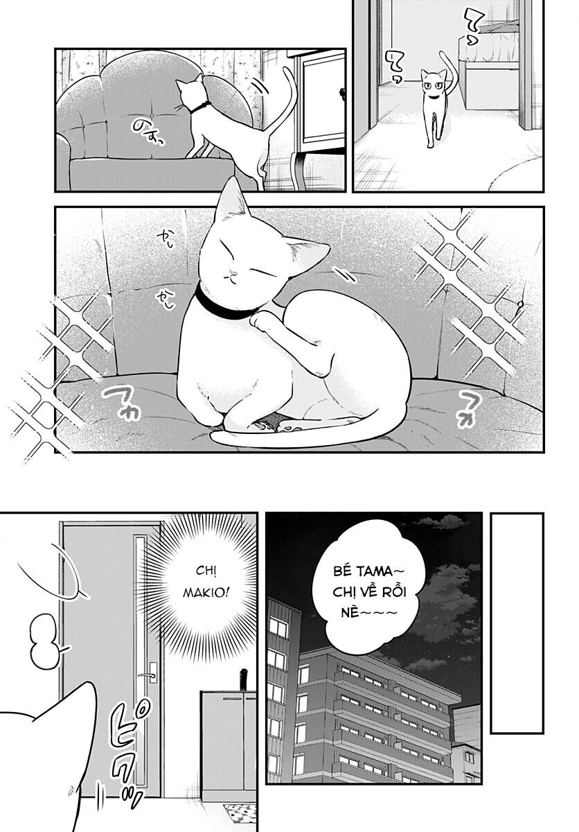 Mi-Chan Wa Kawaretai Chap 8 - Next Chap 9