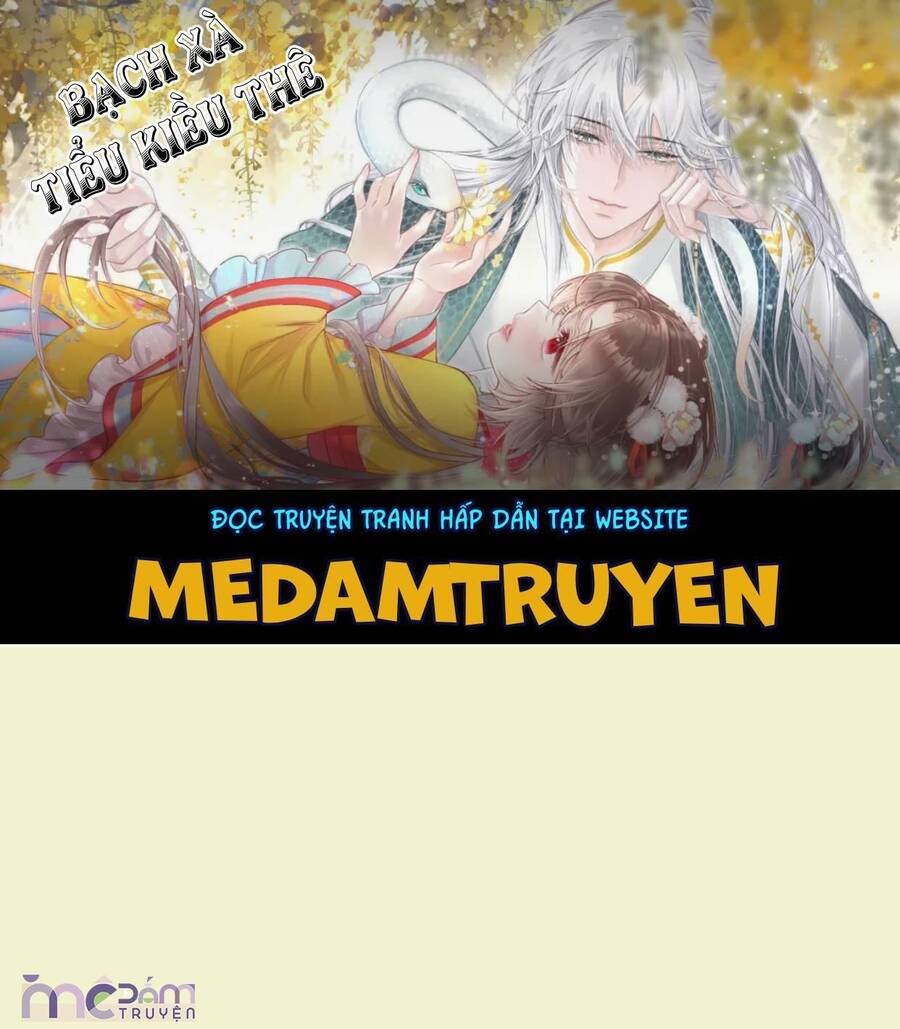 Nữ Phụ Không Muốn Nam Nữ Chính Chia Tay Chap 20 - Next Chap 21