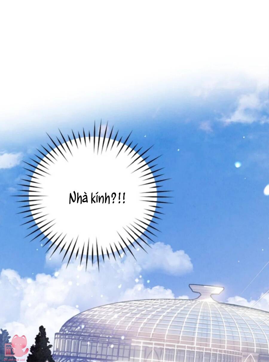 Nuôi Vị Hôn Phu Bằng Tiền Bạc Chap 33 - Next Chap 34