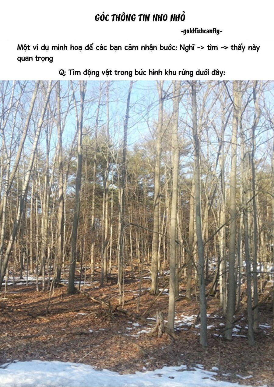 Radiation House Chap 95 - Next Chap 96