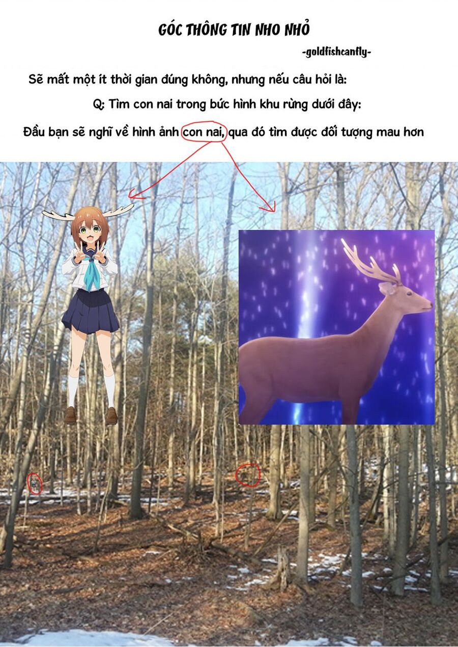 Radiation House Chap 95 - Next Chap 96