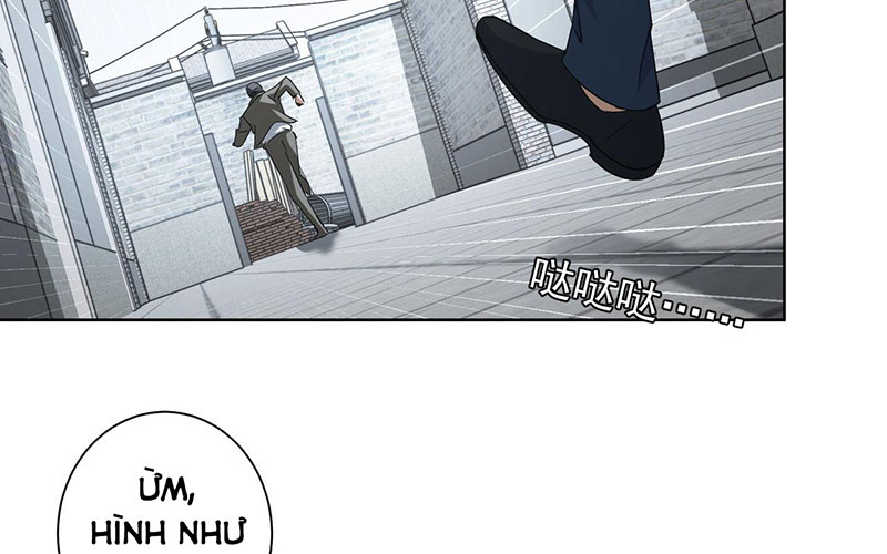 Ta Có Thể Thấy Tỉ Lệ Thành Công Chap 204 - Next Chap 205