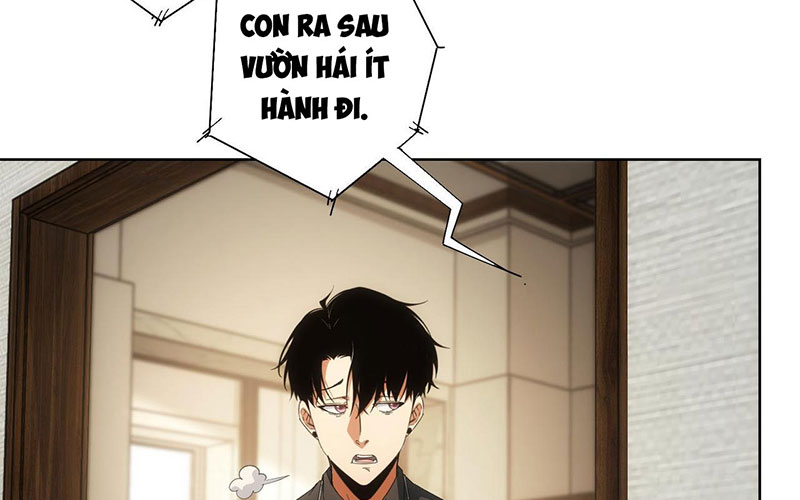 Ta Có Thể Thấy Tỉ Lệ Thành Công Chap 208 - Next Chap 209