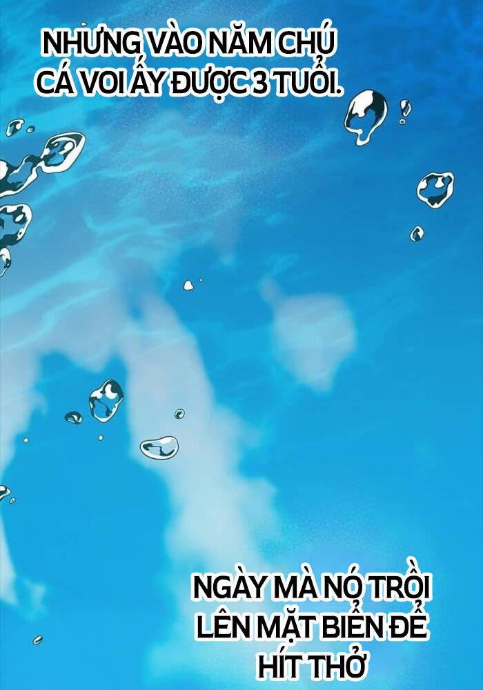 Tạp Hóa Dị Giới Chap 41 - Next Chap 42