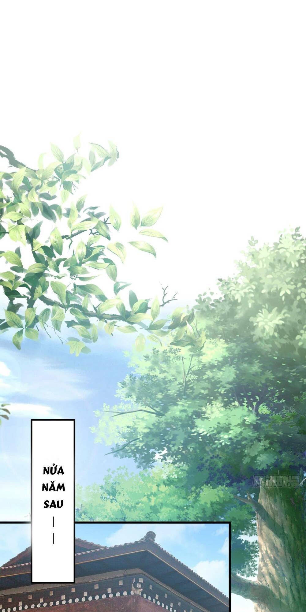 Tiên Nhân Này Quá Nghiêm Túc Chap 12 - Next Chap 13