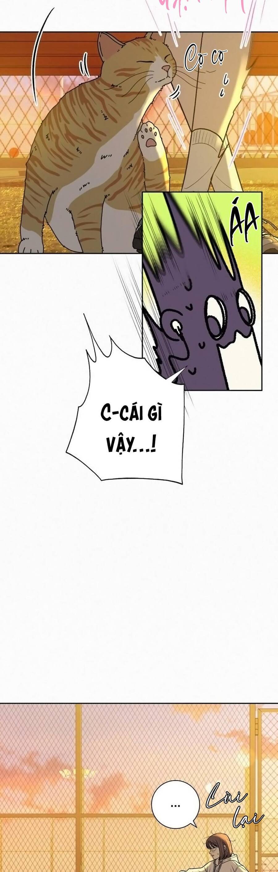 Tình Yêu Trong Sáng Chap 99 - Next Chap 100