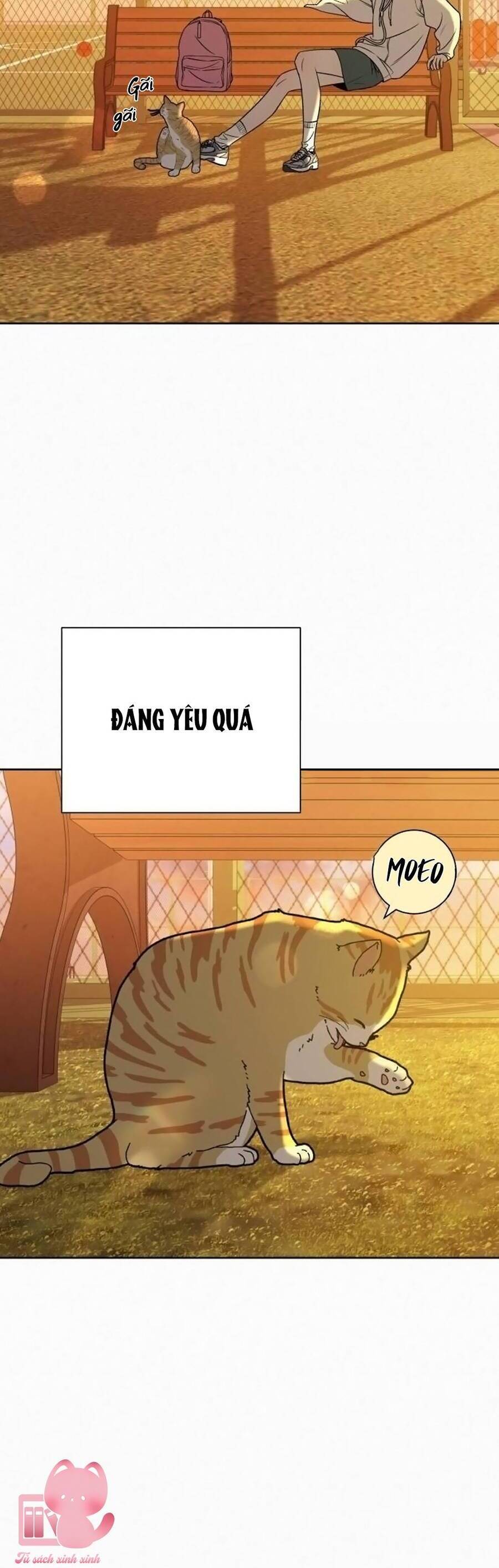 Tình Yêu Trong Sáng Chap 99 - Next Chap 100