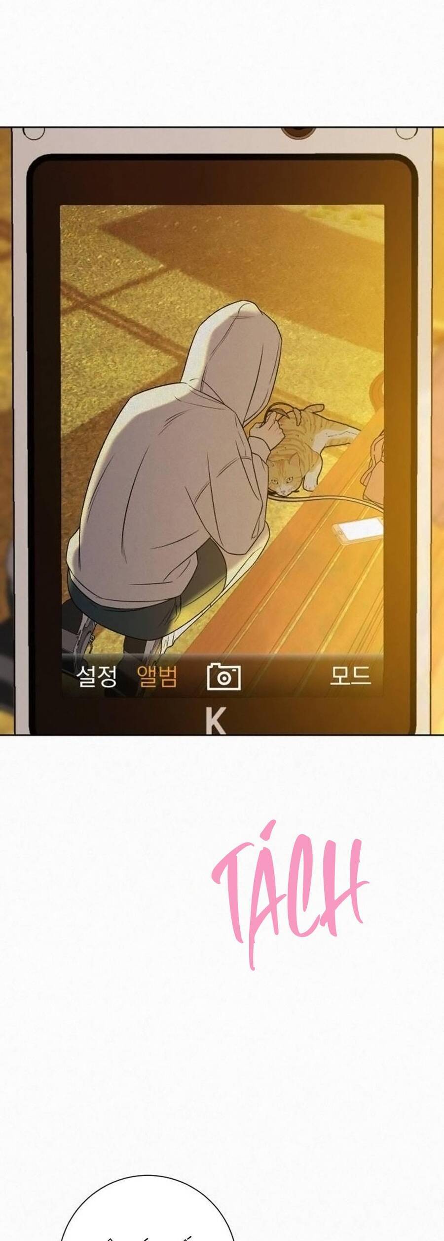 Tình Yêu Trong Sáng Chap 99 - Next Chap 100