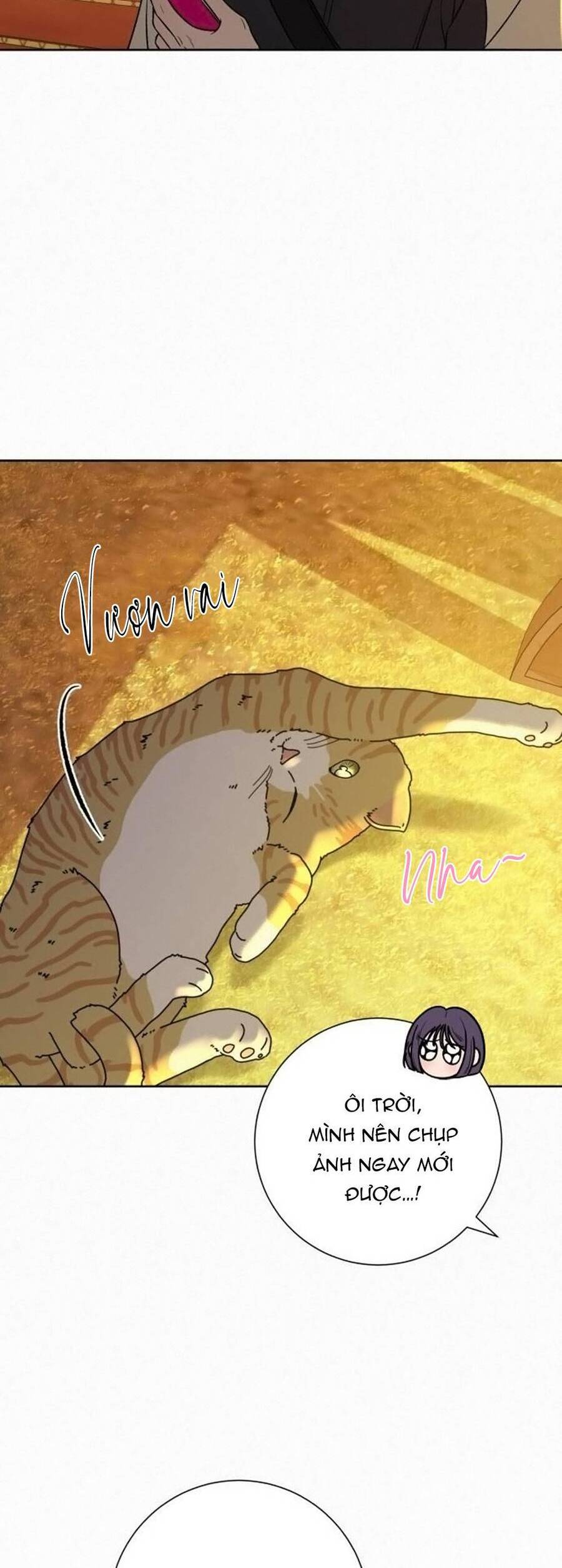 Tình Yêu Trong Sáng Chap 99 - Next Chap 100