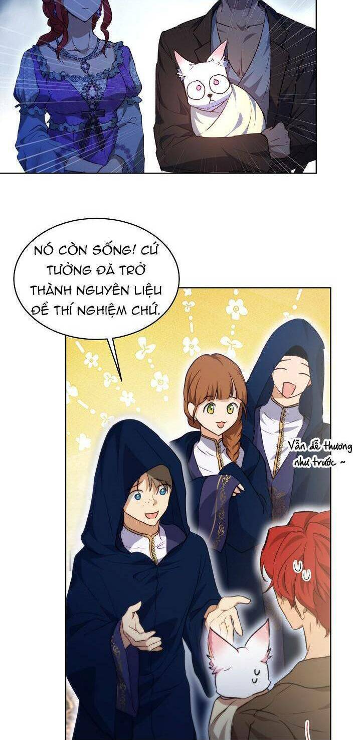 Tôi Đã Tái Sinh Thành Bé Cáo Của Thần Chap 41 - Next Chap 42