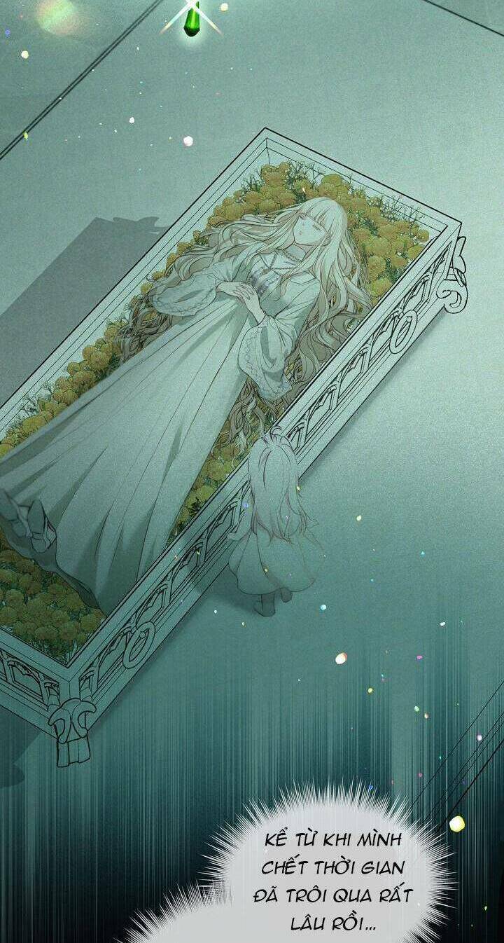 Tôi Đã Tái Sinh Thành Bé Cáo Của Thần Chap 41 - Next Chap 42