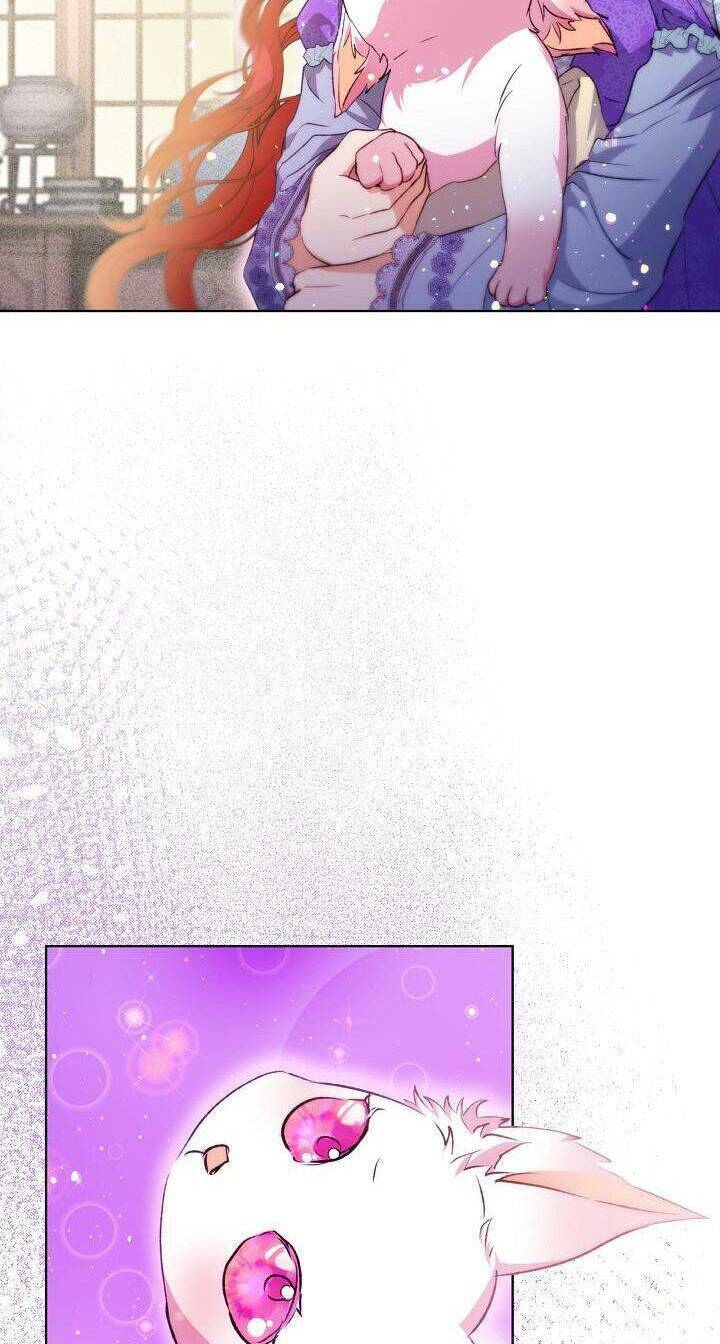 Tôi Đã Tái Sinh Thành Bé Cáo Của Thần Chap 41 - Next Chap 42