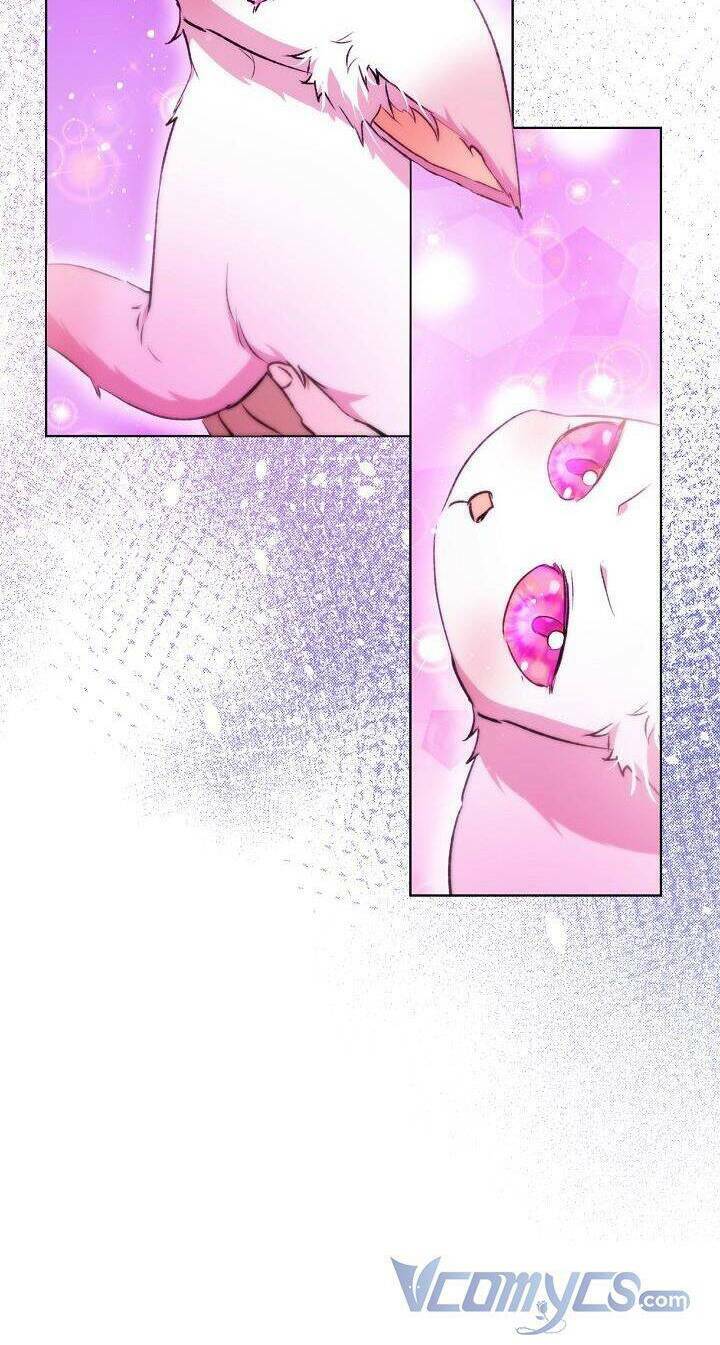 Tôi Đã Tái Sinh Thành Bé Cáo Của Thần Chap 41 - Next Chap 42