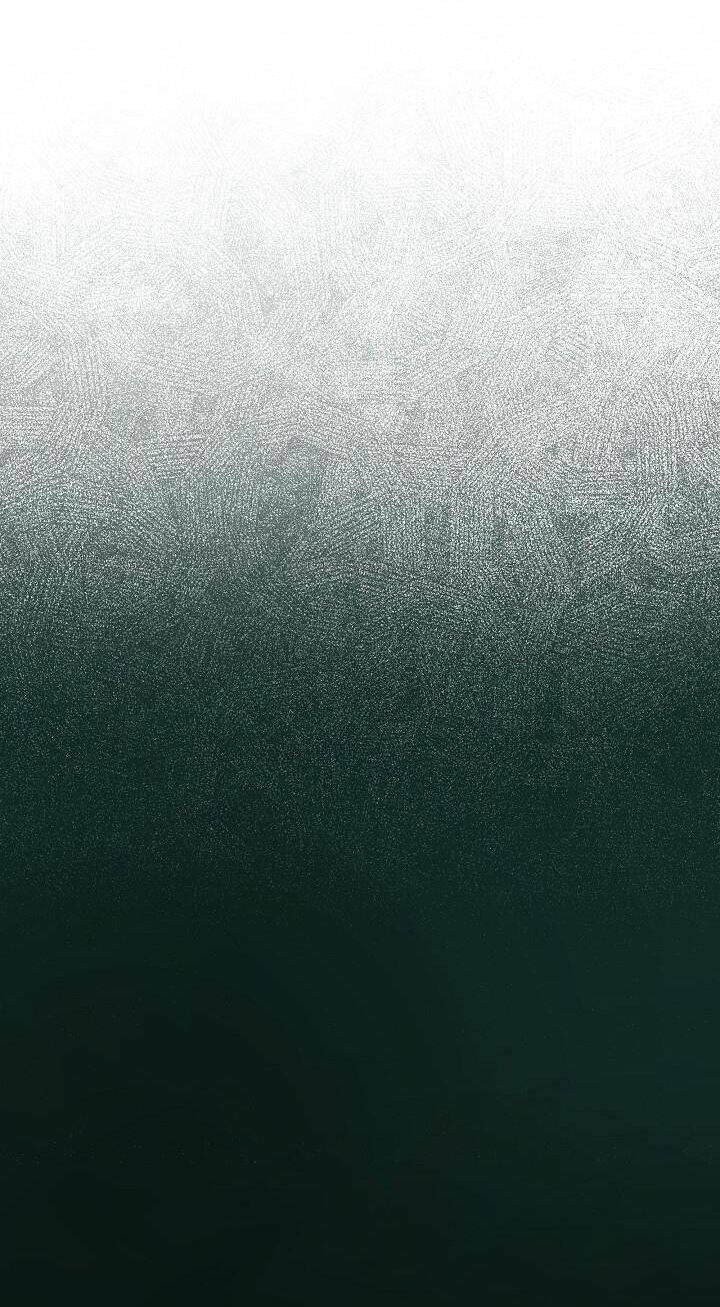 Tôi Đã Tái Sinh Thành Bé Cáo Của Thần Chap 42 - Next Chap 43