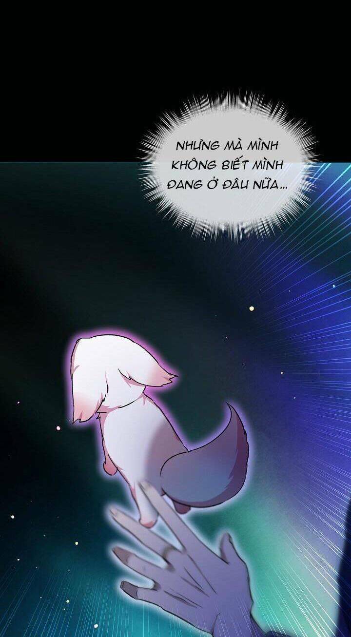 Tôi Đã Tái Sinh Thành Bé Cáo Của Thần Chap 42 - Next Chap 43