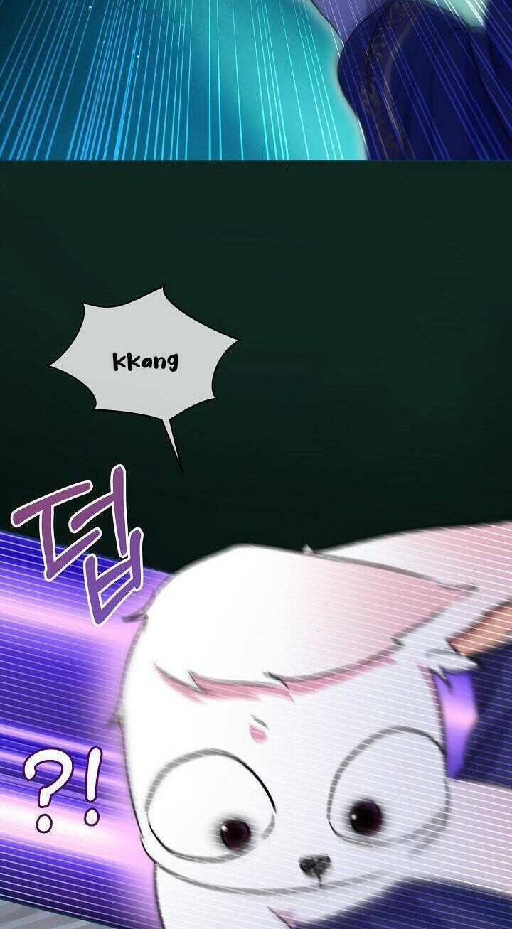 Tôi Đã Tái Sinh Thành Bé Cáo Của Thần Chap 42 - Next Chap 43