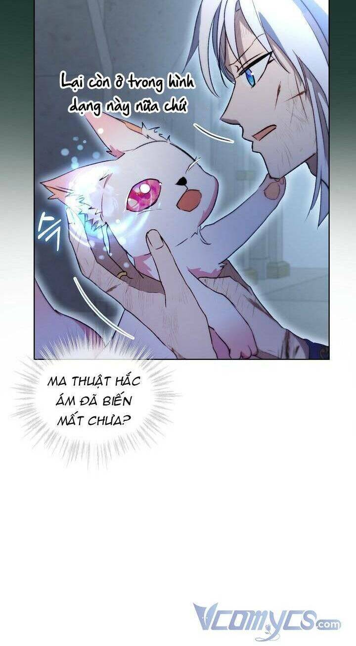 Tôi Đã Tái Sinh Thành Bé Cáo Của Thần Chap 42 - Next Chap 43