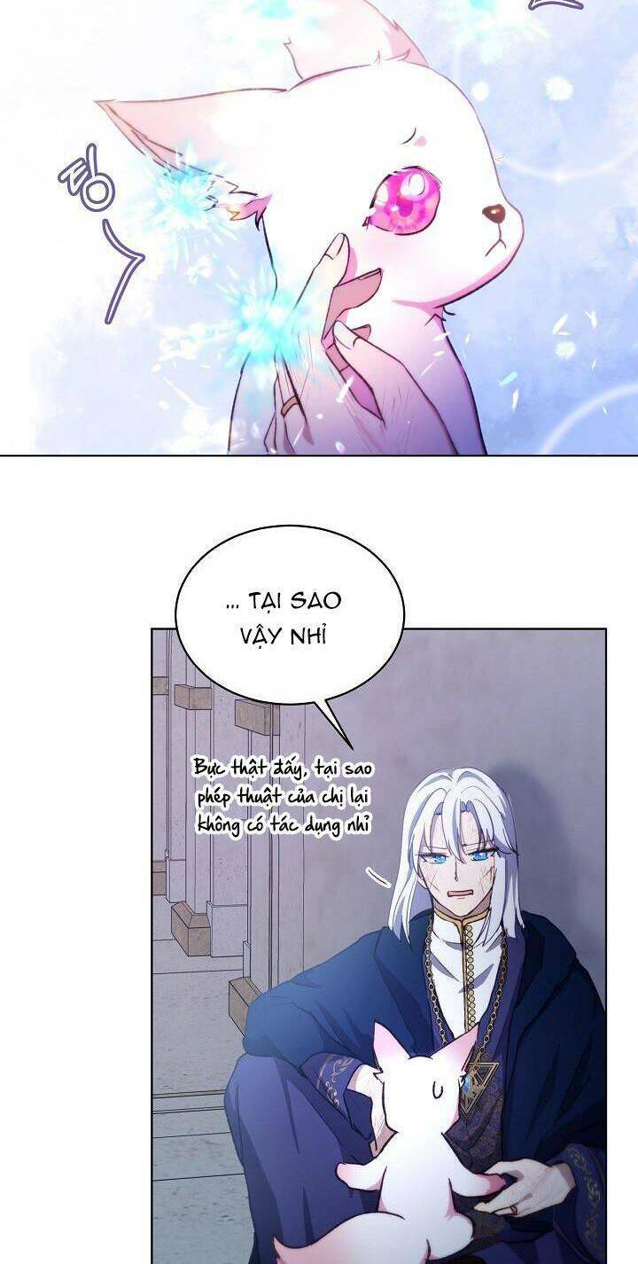 Tôi Đã Tái Sinh Thành Bé Cáo Của Thần Chap 42 - Next Chap 43