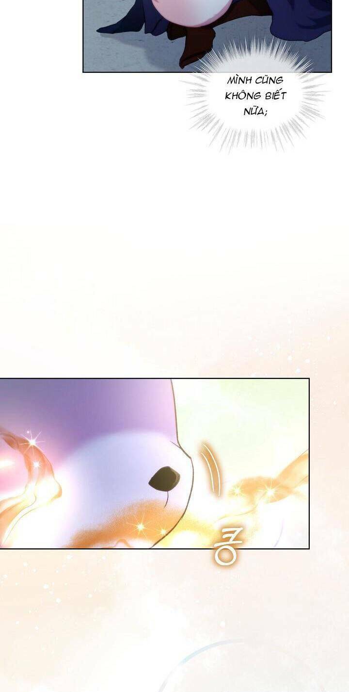 Tôi Đã Tái Sinh Thành Bé Cáo Của Thần Chap 42 - Next Chap 43