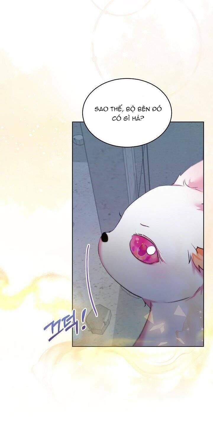 Tôi Đã Tái Sinh Thành Bé Cáo Của Thần Chap 42 - Next Chap 43