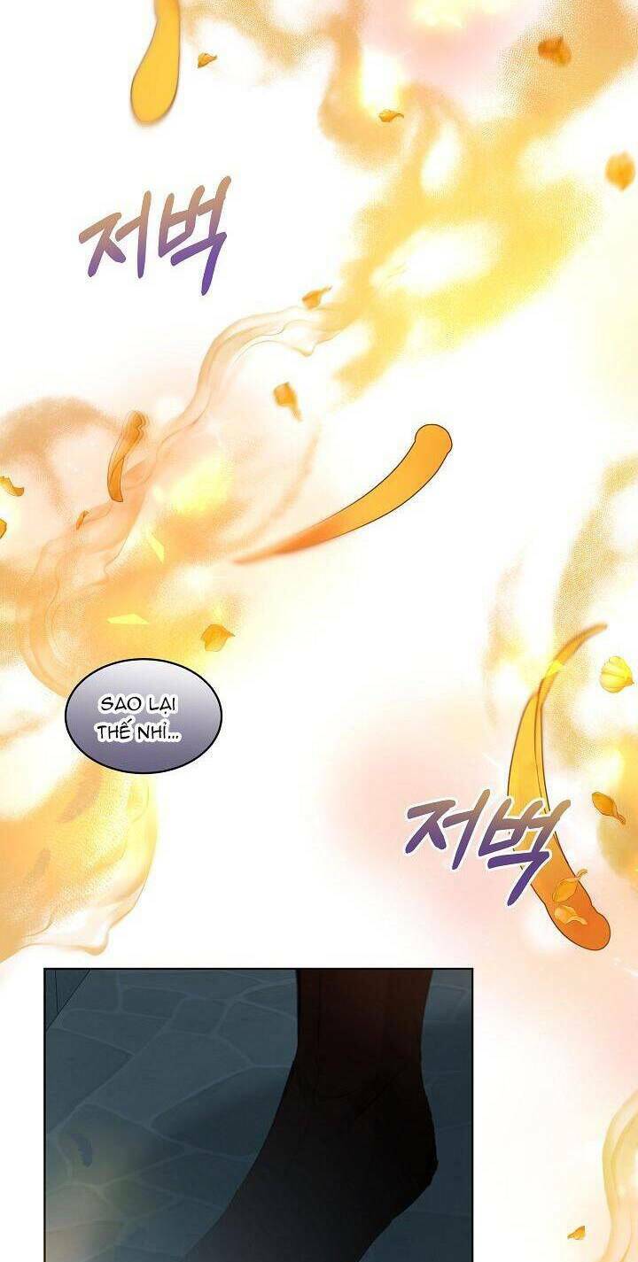 Tôi Đã Tái Sinh Thành Bé Cáo Của Thần Chap 42 - Next Chap 43