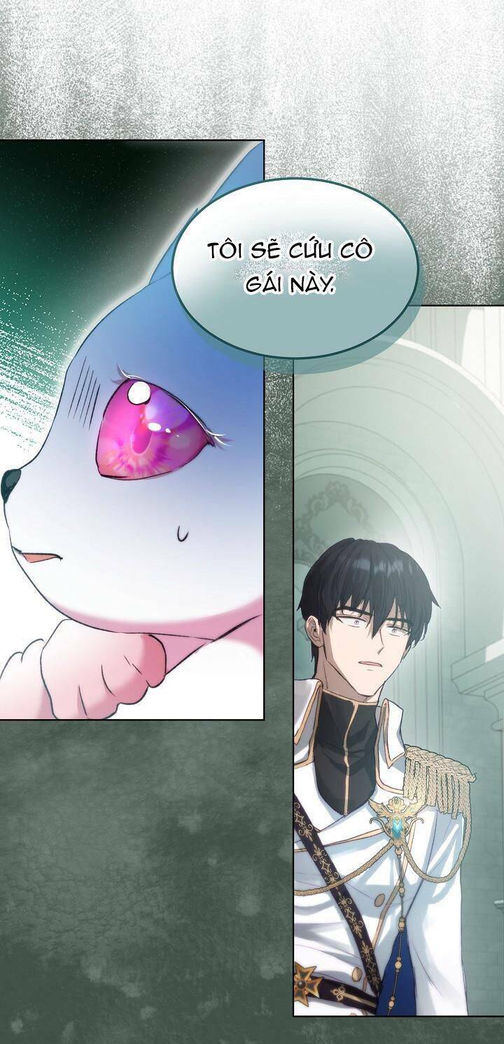 Tôi Đã Tái Sinh Thành Bé Cáo Của Thần Chap 42 - Next Chap 43