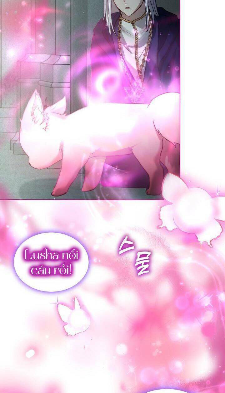 Tôi Đã Tái Sinh Thành Bé Cáo Của Thần Chap 42 - Next Chap 43