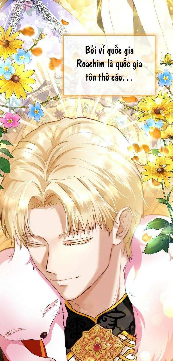 Tôi Đã Tái Sinh Thành Bé Cáo Của Thần Chap 48 - Next Chap 49