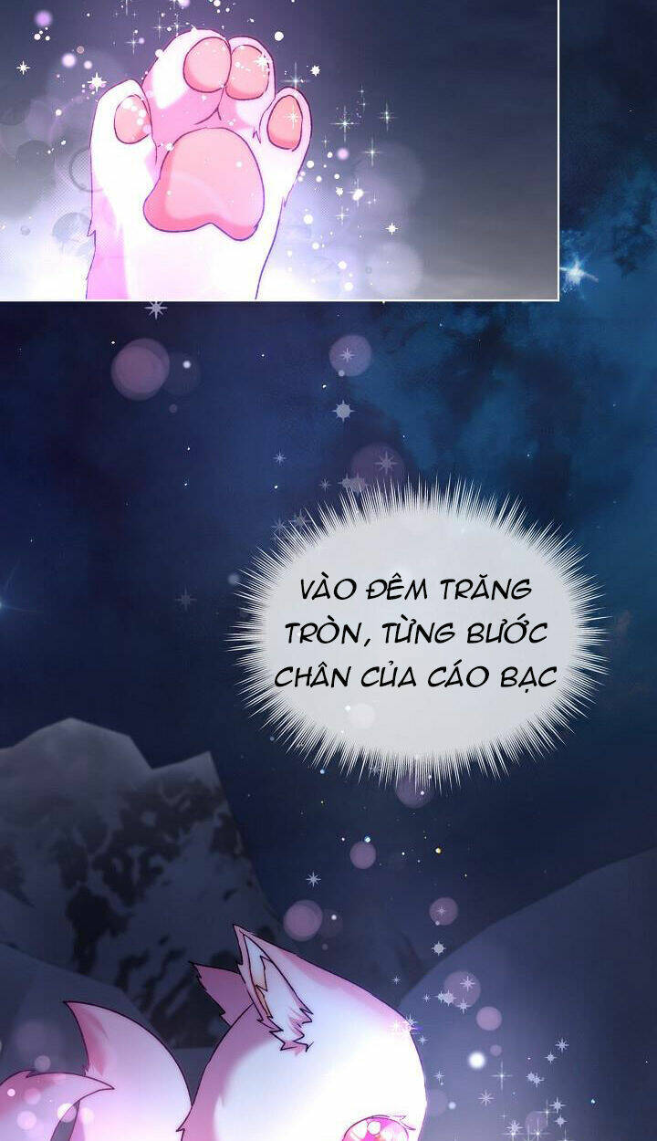 Tôi Đã Tái Sinh Thành Bé Cáo Của Thần Chap 52 - Next Chap 53