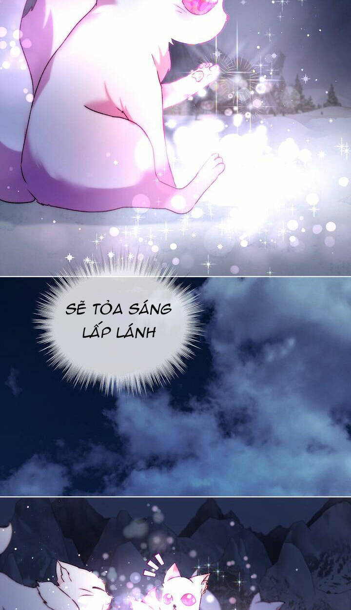 Tôi Đã Tái Sinh Thành Bé Cáo Của Thần Chap 52 - Next Chap 53