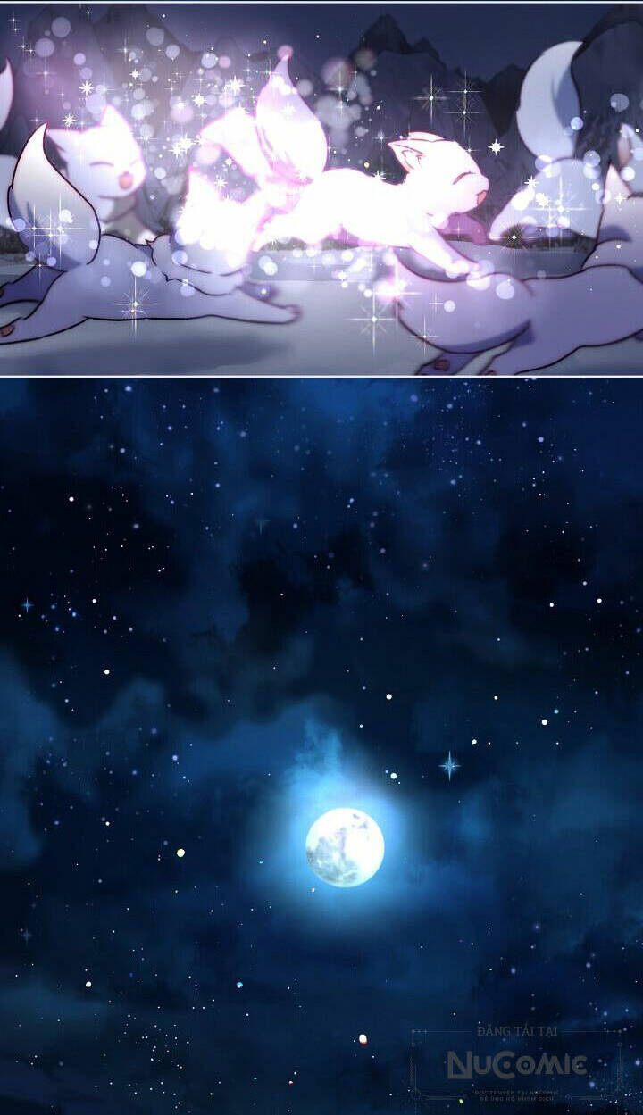 Tôi Đã Tái Sinh Thành Bé Cáo Của Thần Chap 52 - Next Chap 53