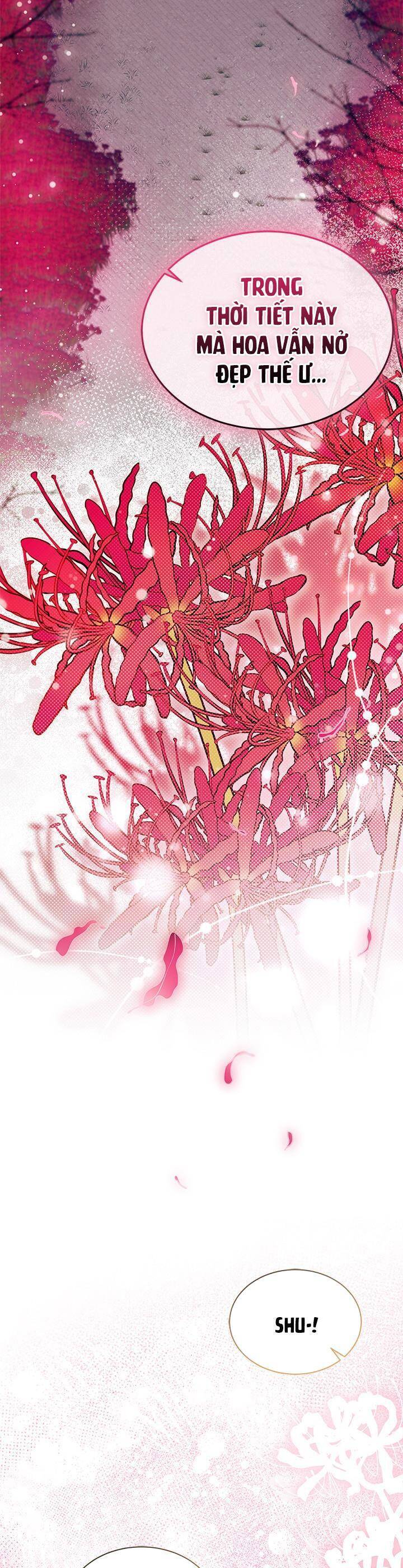 Tôi Không Muốn Làm Người Mai Mối Chap 66 - Next Chap 67