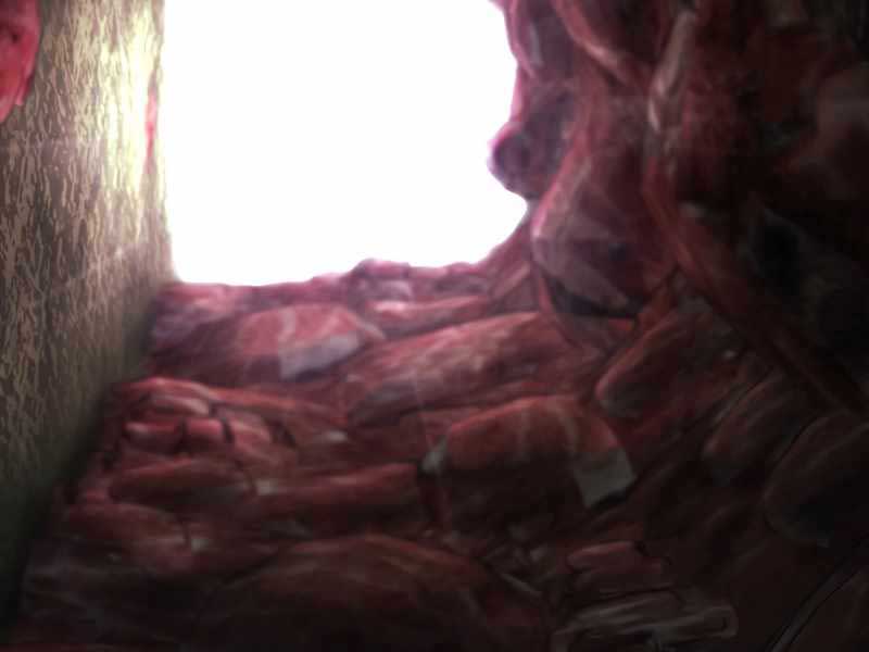 Tôi Không Phải Là Hồi Quy Giả Chap 22 - Next Chap 23