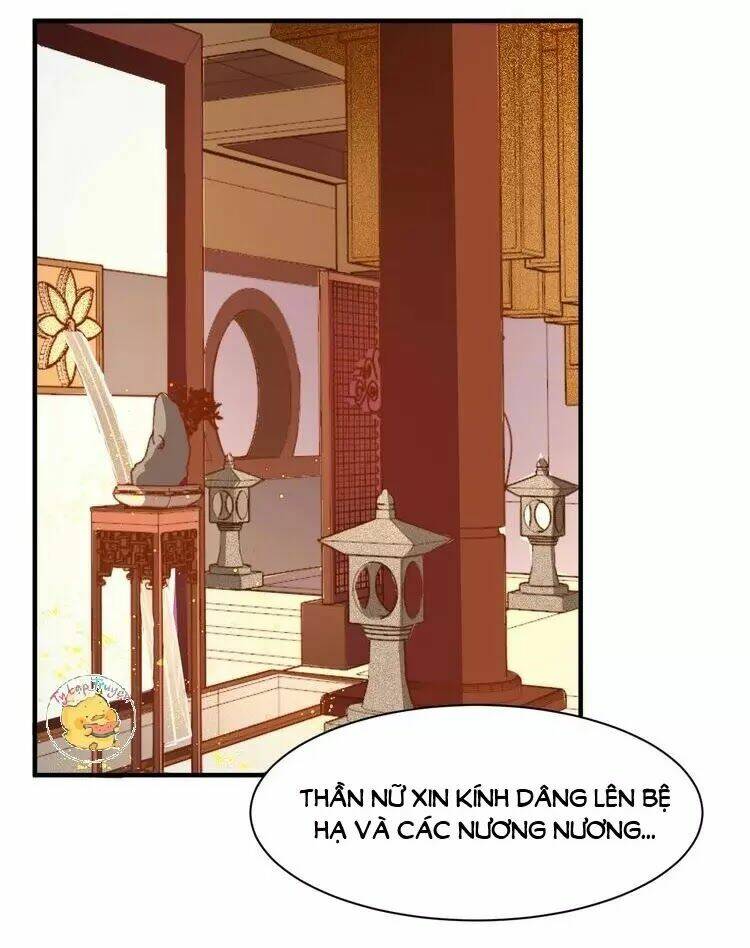 Trùng Sinh Chuyên Sủng Độc Phi Của Nhiếp Chính Vương Chap 53 - Next Chap 54