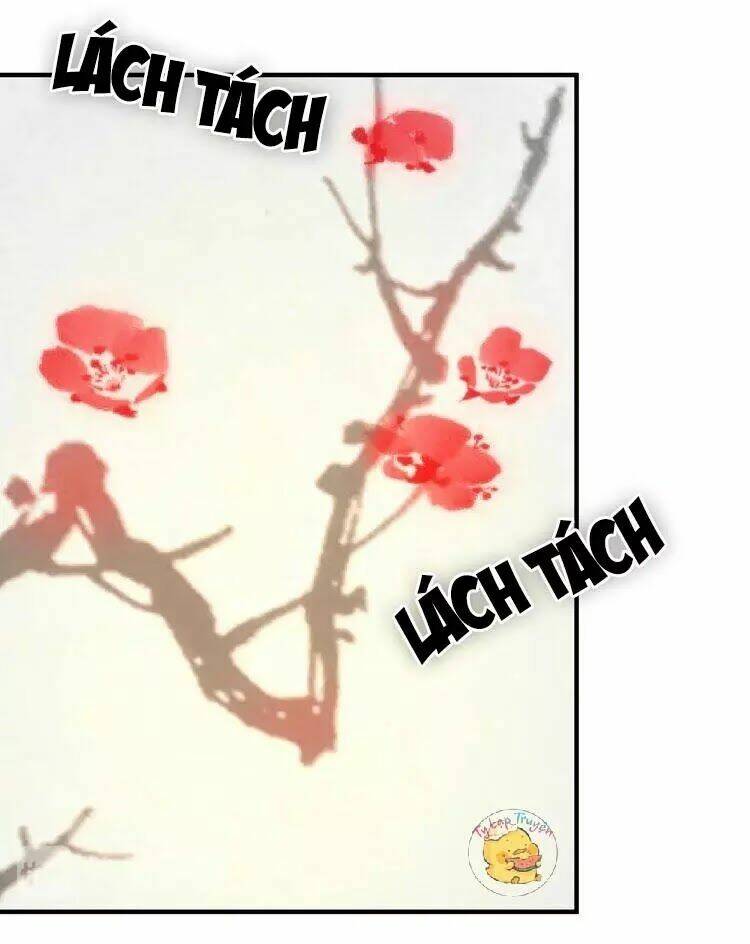 Trùng Sinh Chuyên Sủng Độc Phi Của Nhiếp Chính Vương Chap 53 - Next Chap 54