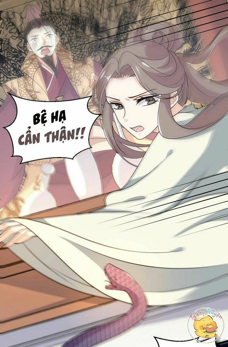 Trùng Sinh Chuyên Sủng Độc Phi Của Nhiếp Chính Vương Chap 54 - Next Chap 55