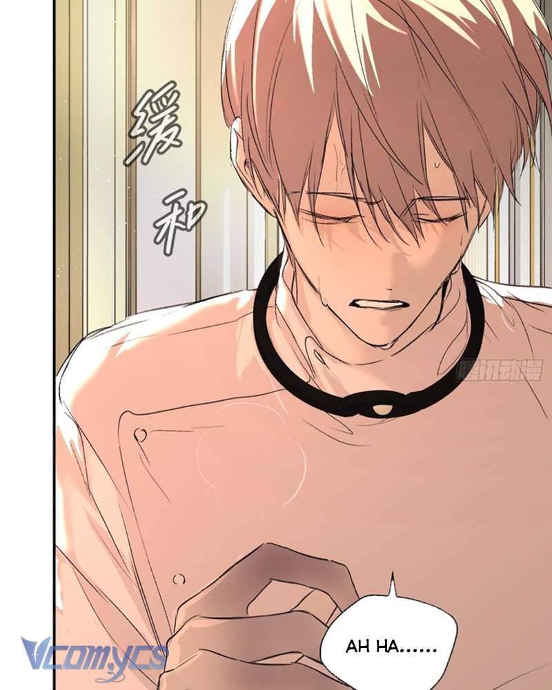 Ác Chi Hoàn Chap 53 - Next Chap 54