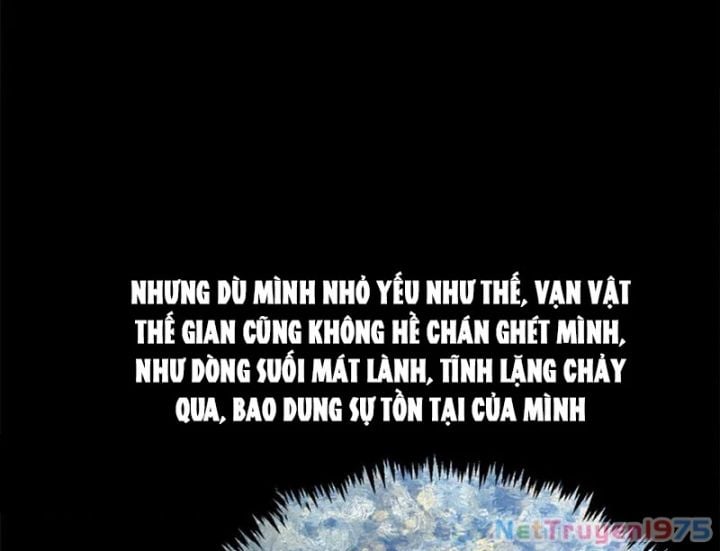 Đỉnh Cấp Khí Vận, Lặng Lẽ Tu Luyện Ngàn Năm Chap 256 - Next Chap 257