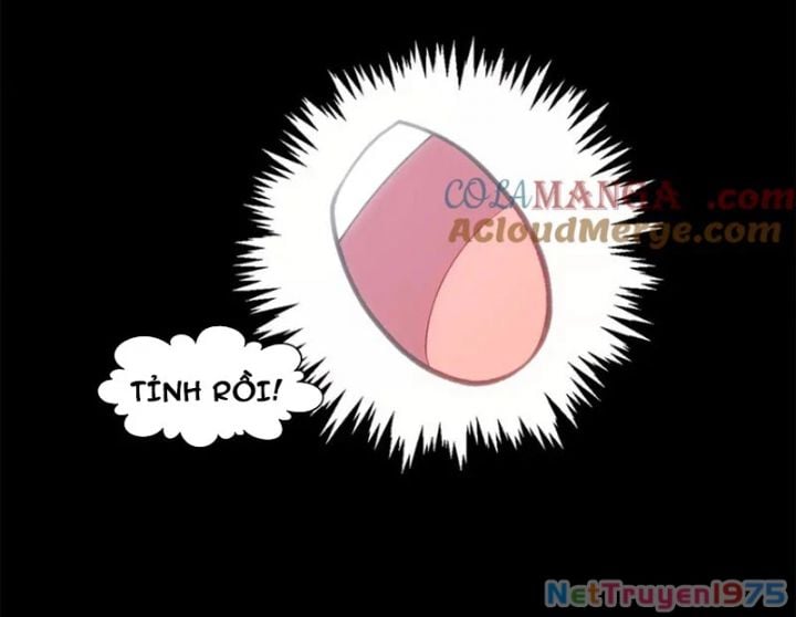 Đỉnh Cấp Khí Vận, Lặng Lẽ Tu Luyện Ngàn Năm Chap 256 - Next Chap 257
