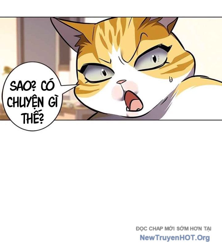 Hóa Thân Thành Mèo Chap 370 - Next Chap 371
