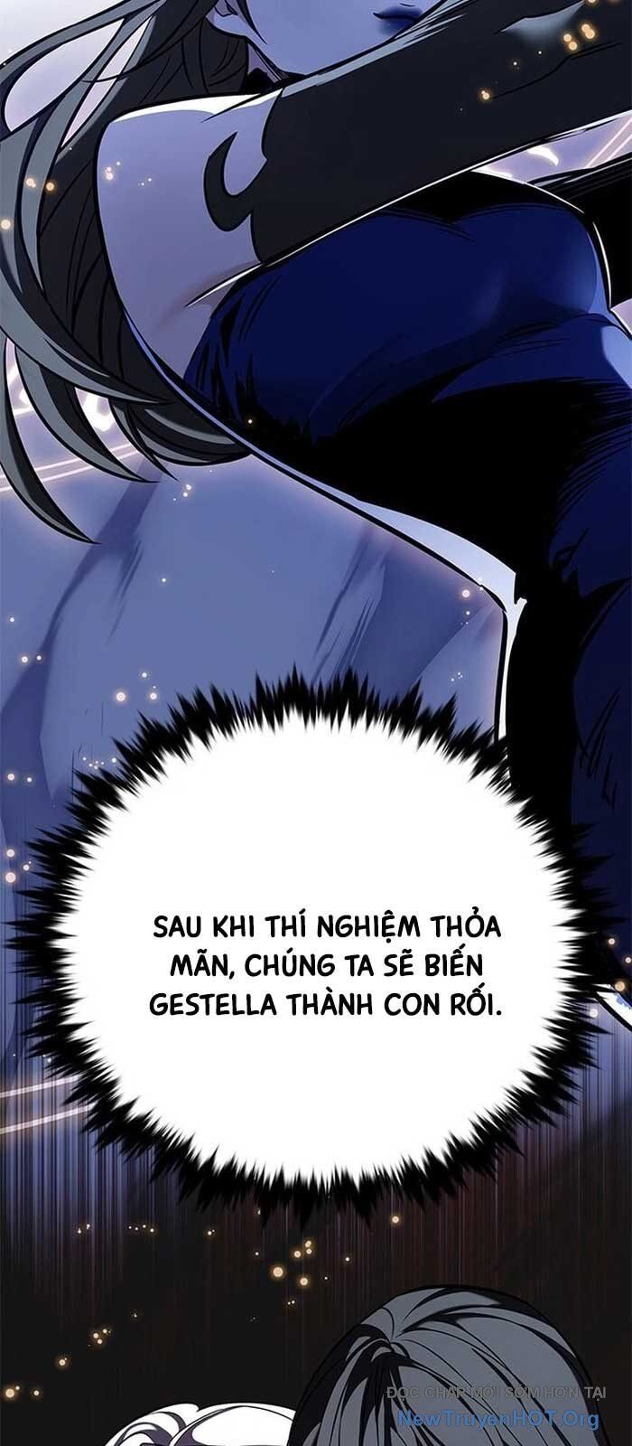 Hóa Thân Thành Mèo Chap 372 - Next Chap 373