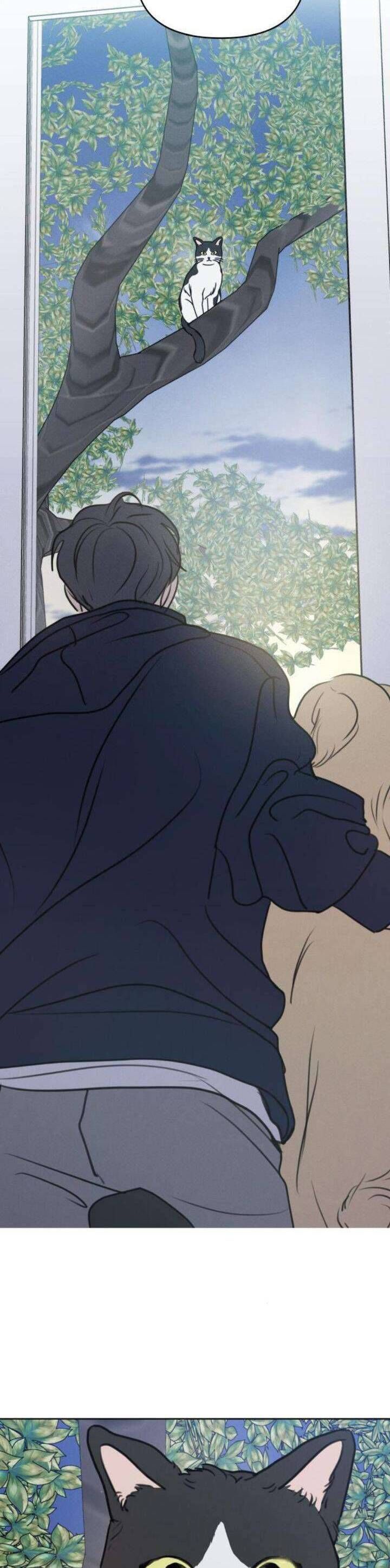 Muốn Được Lừa Dối Chap 20 - Next Chap 21