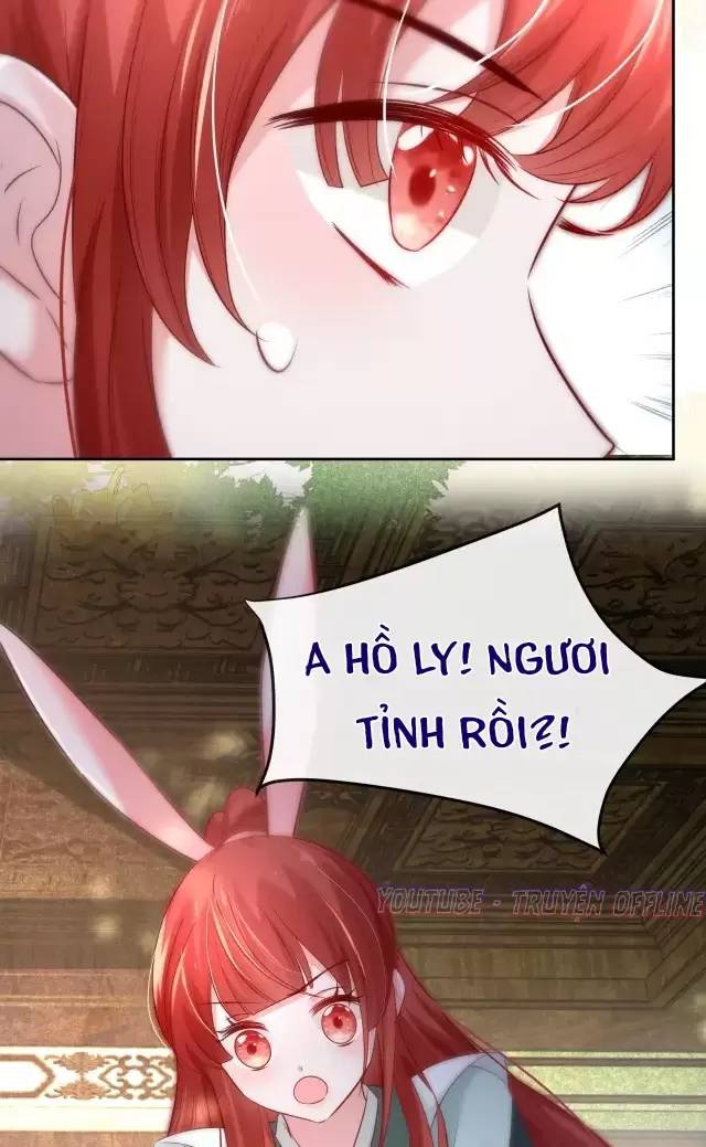 NAM CHỦ HẮC HÓA NUÔI DƯỠNG THỎ ONLINE Chap 28 - Next Chap 29