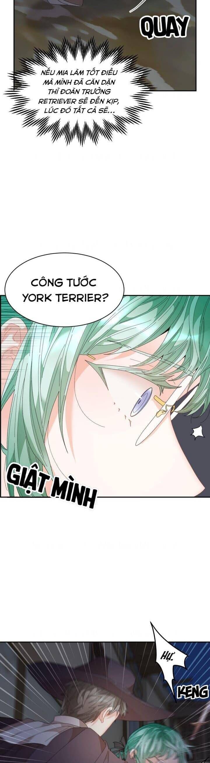 Tôi Không Muốn Trở Thành Hoàng Hậu Chap 90 - Next Chap 91