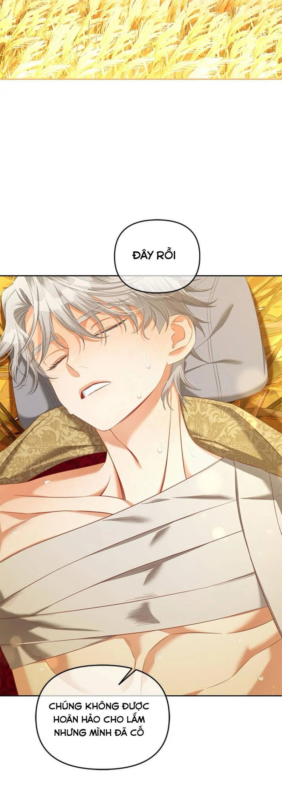 Tôi Sẽ Ở Ngay Bên Cạnh Nam Chính Chap 47 - Next Chap 48