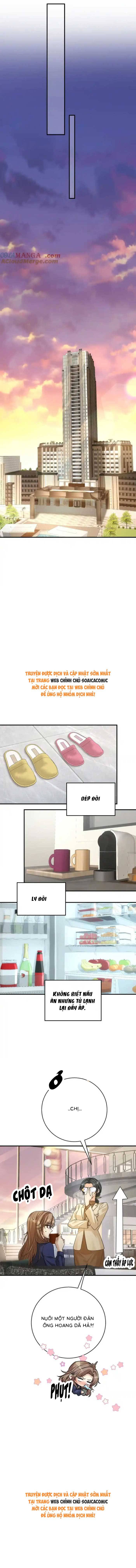 Tổng Tài Chó Chap 24 - Next Chap 25