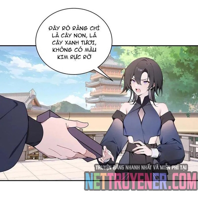 Bách Thê Phổ: Thánh Nữ Đều Gọi Ta Là Phu Quân Chap 55 - Next Chap 56