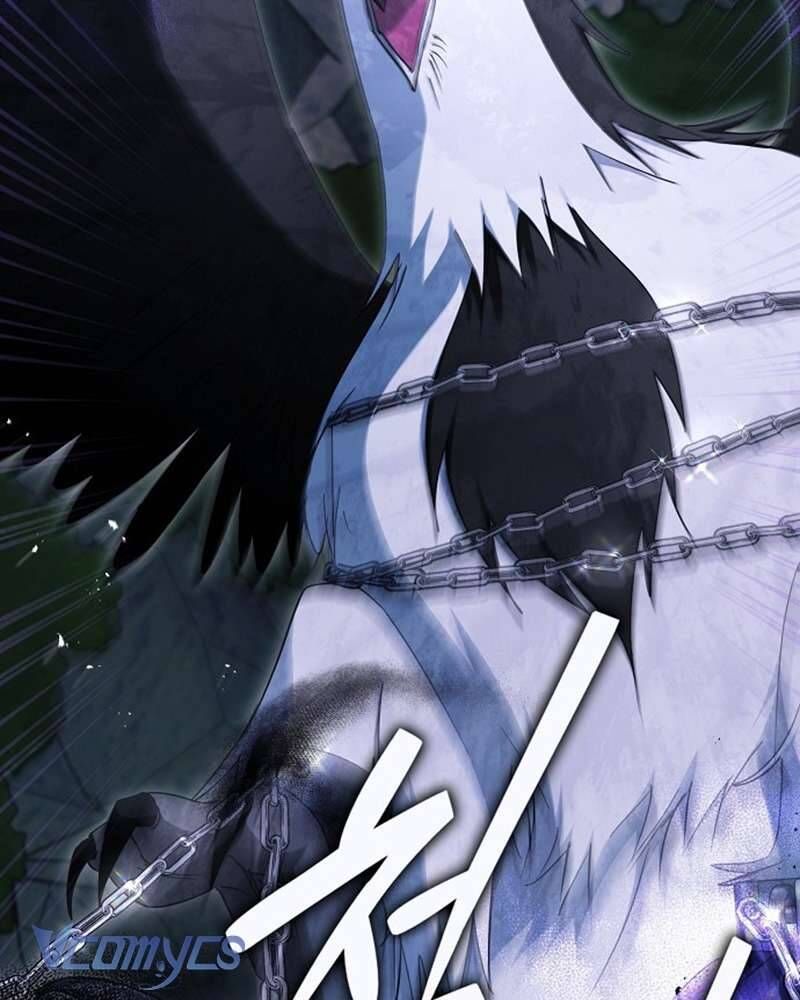 Các Nam Chính Đã Bị Nữ Phụ Cướp Mất Chap 60 - Next Chap 61