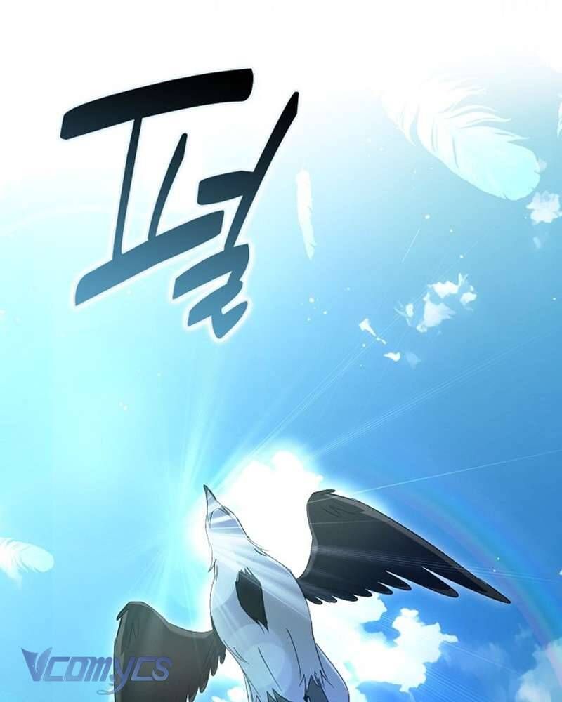 Các Nam Chính Đã Bị Nữ Phụ Cướp Mất Chap 60 - Next Chap 61